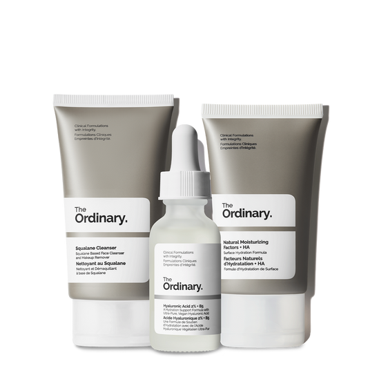 THE ORDINARY The Daily Set